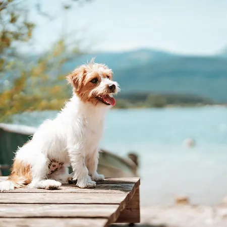 Seeappartements Leitner Apartmán