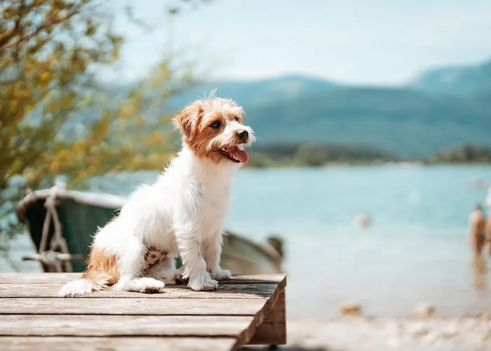 Seeappartements Leitner شقة